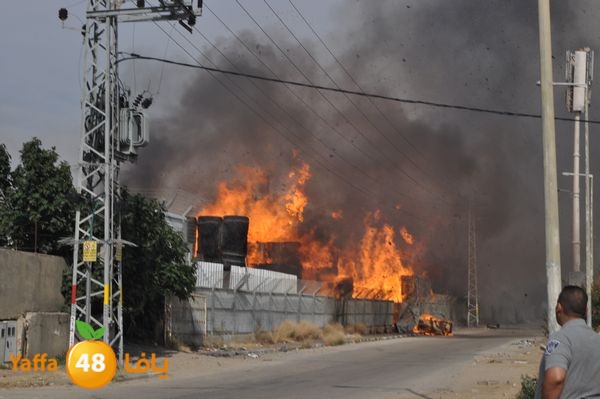 fireludkartoonmasna34 (20).JPG